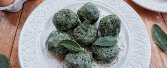 Gnudi